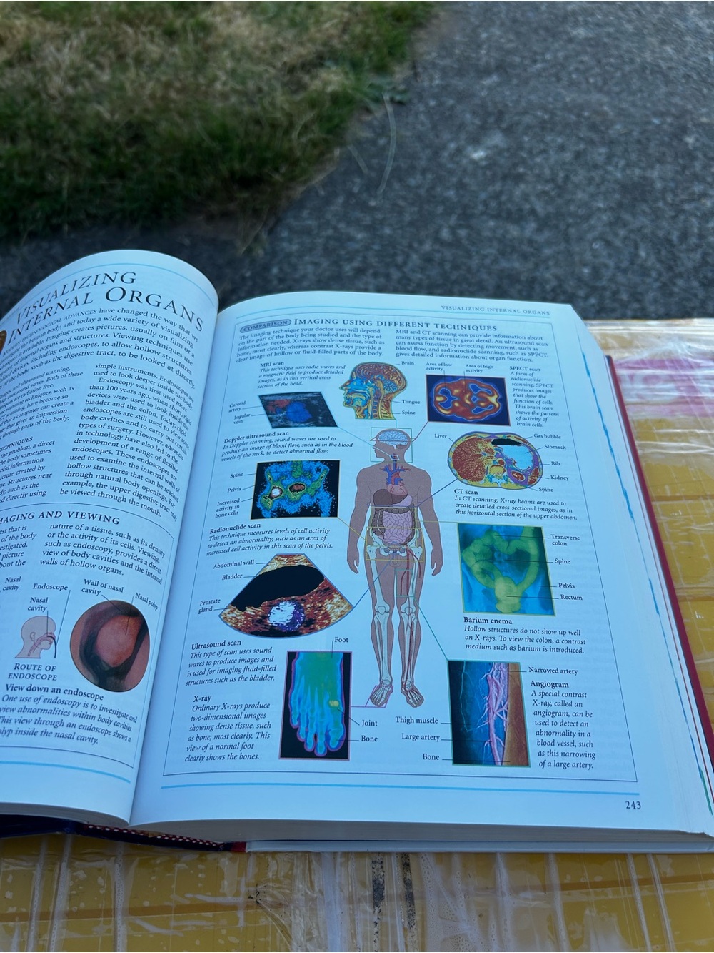 Complete Home Medical Guide - Navy - Picture 10 of 14